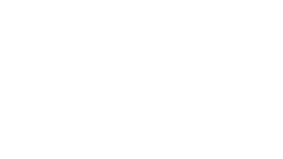 Fortune Semiconductor Logo