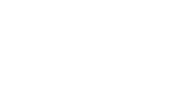Holtek Logo