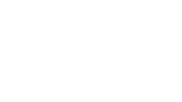 National Semiconductor Logo