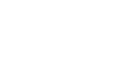 Vishay Logo