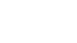 Wolfson Microelectronics Logo