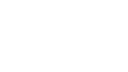 Wolfson Microelectronics Logo